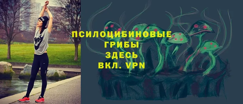 Купить закладку Емва Alpha-PVP  МЕФ  Гашиш  АМФЕТАМИН  COCAIN  Бошки Шишки 